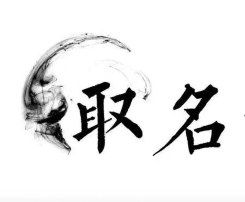  陵城宝宝取名 大师一对一人工起名