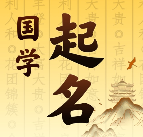 陵城国学起名 人工起名一对一